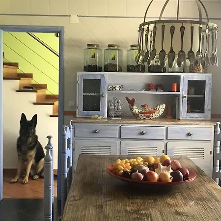 Baleal, By The Sea With Swimming Pool Apartamento *