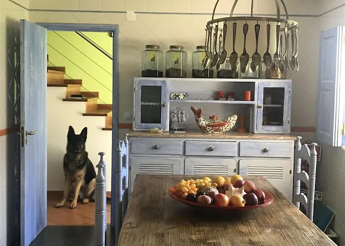 Baleal, By The Sea With Swimming Pool Апартаменты *