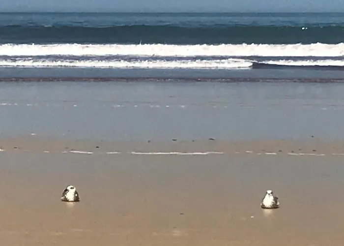 Baleal, By The Sea With Swimming Pool * Балеал